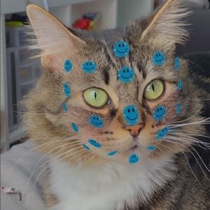 Meet your Posher, Peyton